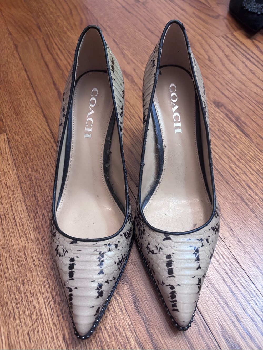 Coach Beige and Black Snake-Print Pointed Toe Pumps